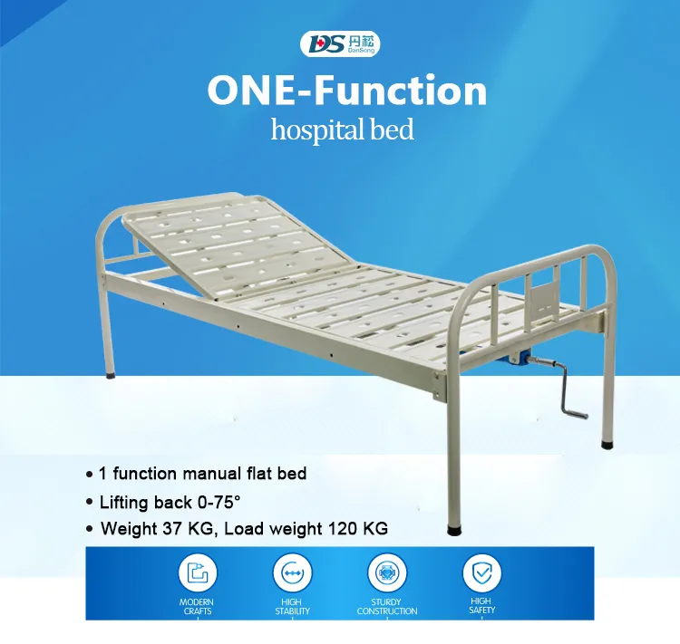 Ce Approved Weighting ABS 1-Function Electric Hospital Bed