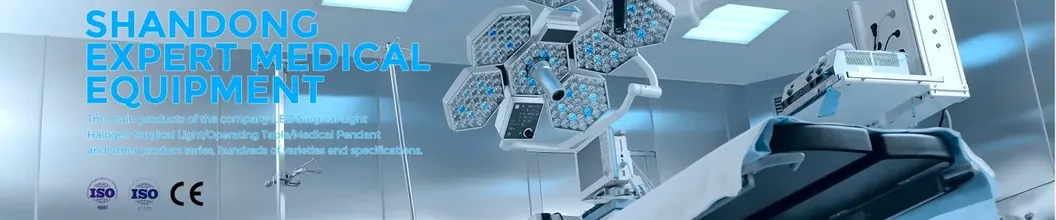 Cheap Simple Hospital Stainless Steel/ Steel Examination Table Medical Clinical Couch for Sale