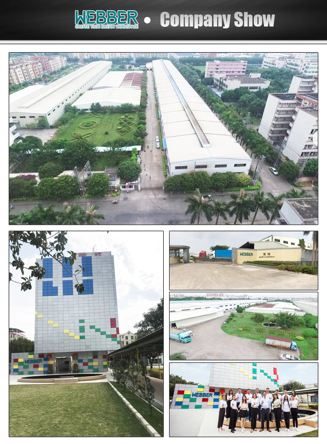 Cold Rolled Steel Push-Pulling Webber Cartons Office Furniture Storage Cabinet