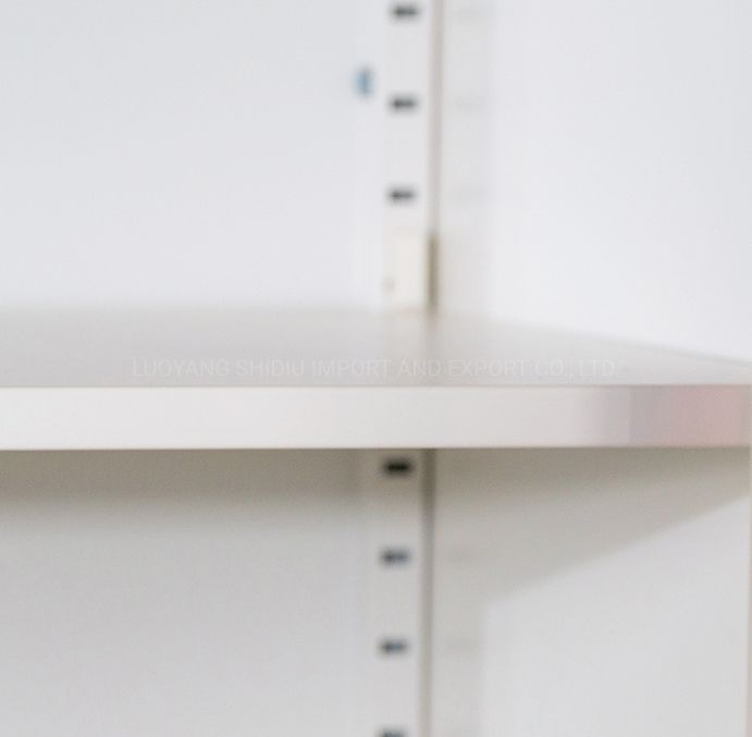 Easy Assembly File Cupboards Storage File Cabinets with Glass Doors