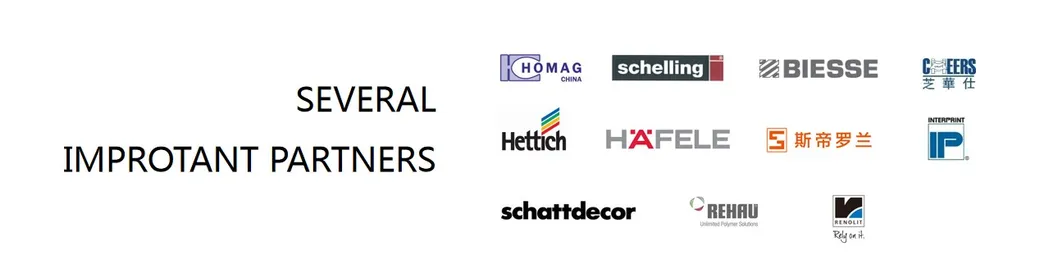 Holike Composite Wood EU Style Customized Kitchen Cabinet with Naf