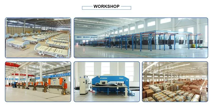 Hospital Electric Bed/Five Function Medical Bed (HR-858)