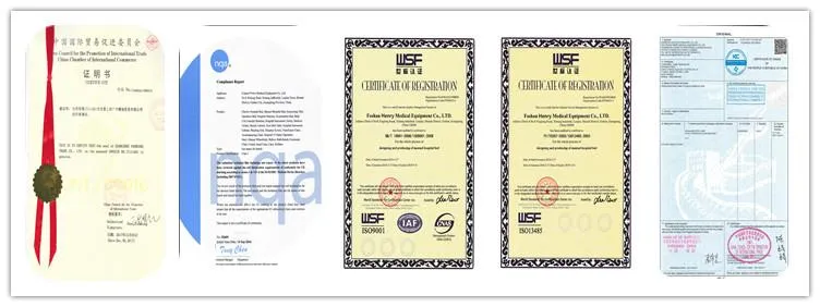 Hospital Electric Bed/Five Function Medical Bed (HR-858)