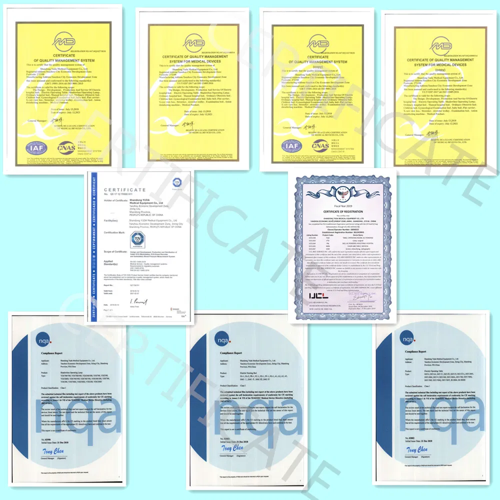 Hospital Equipment Medical Manual Two Function Hospital Nursing Patient Clinic Bed Adjustable Metal Bed Economic Hospital Bed Cheap Price