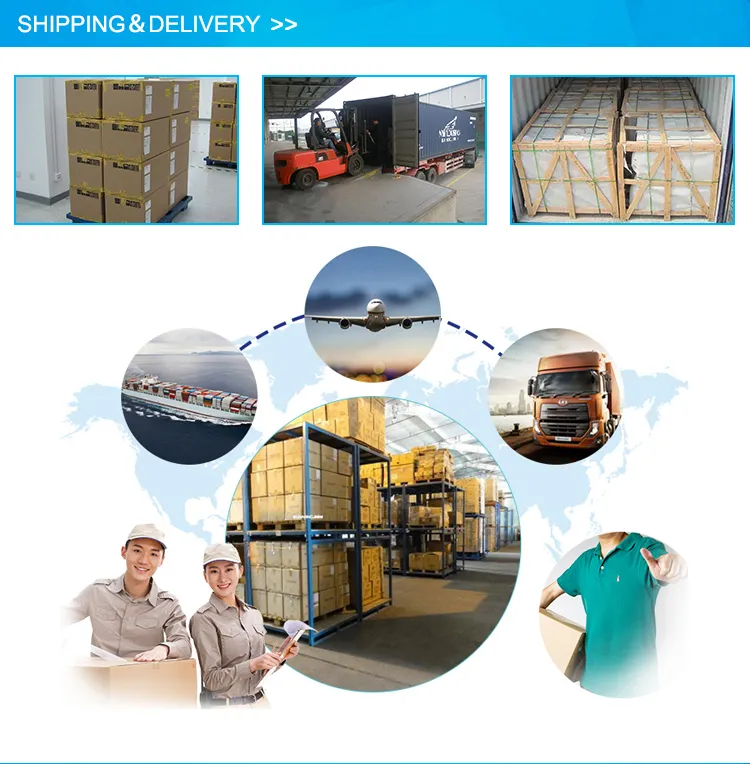 Intensive Care Unit Bed Equipment Multifunctional Multi-Function Electric Weighing Bed 2020 Hot Central Double Swing Sickbed