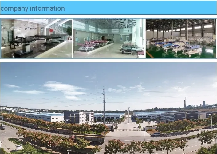 Wholesale Motorized Adjusted Electric Adjusted Homecare Hospital Bed Adjustable Medical Nursing Bed Factory Price