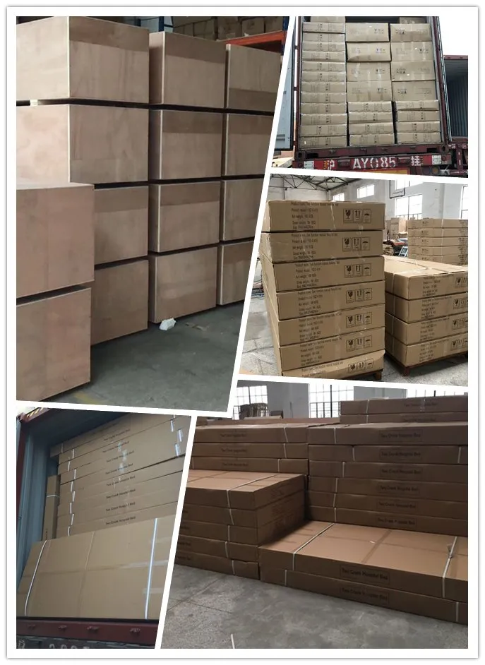 Yxz-C5 (A6) Five Function Electric Medical Bed